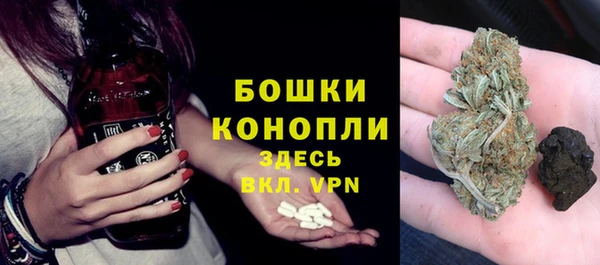 Альфа ПВП Верея