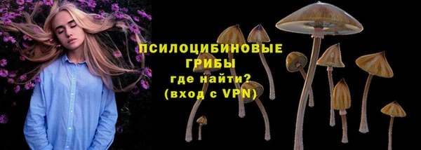 прущая мука Верхний Тагил