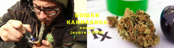Альфа ПВП Верея