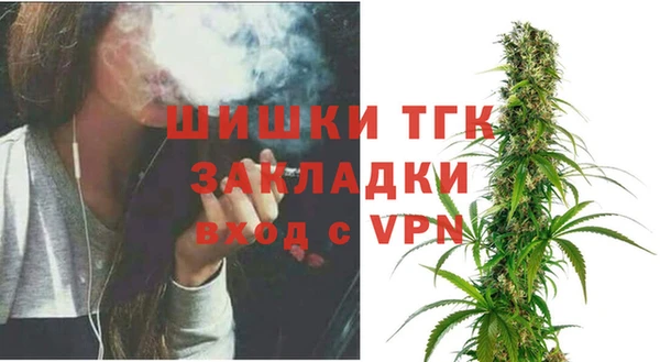 Альфа ПВП Верея