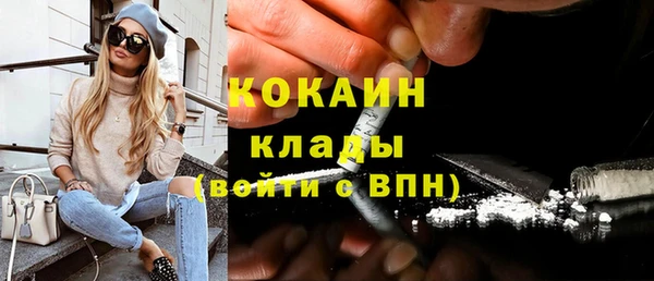 Альфа ПВП Верея