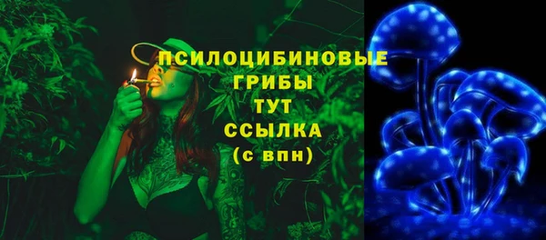 прущая мука Верхний Тагил